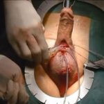 WhatsApp Image 2024-11-15 at 19.18.25