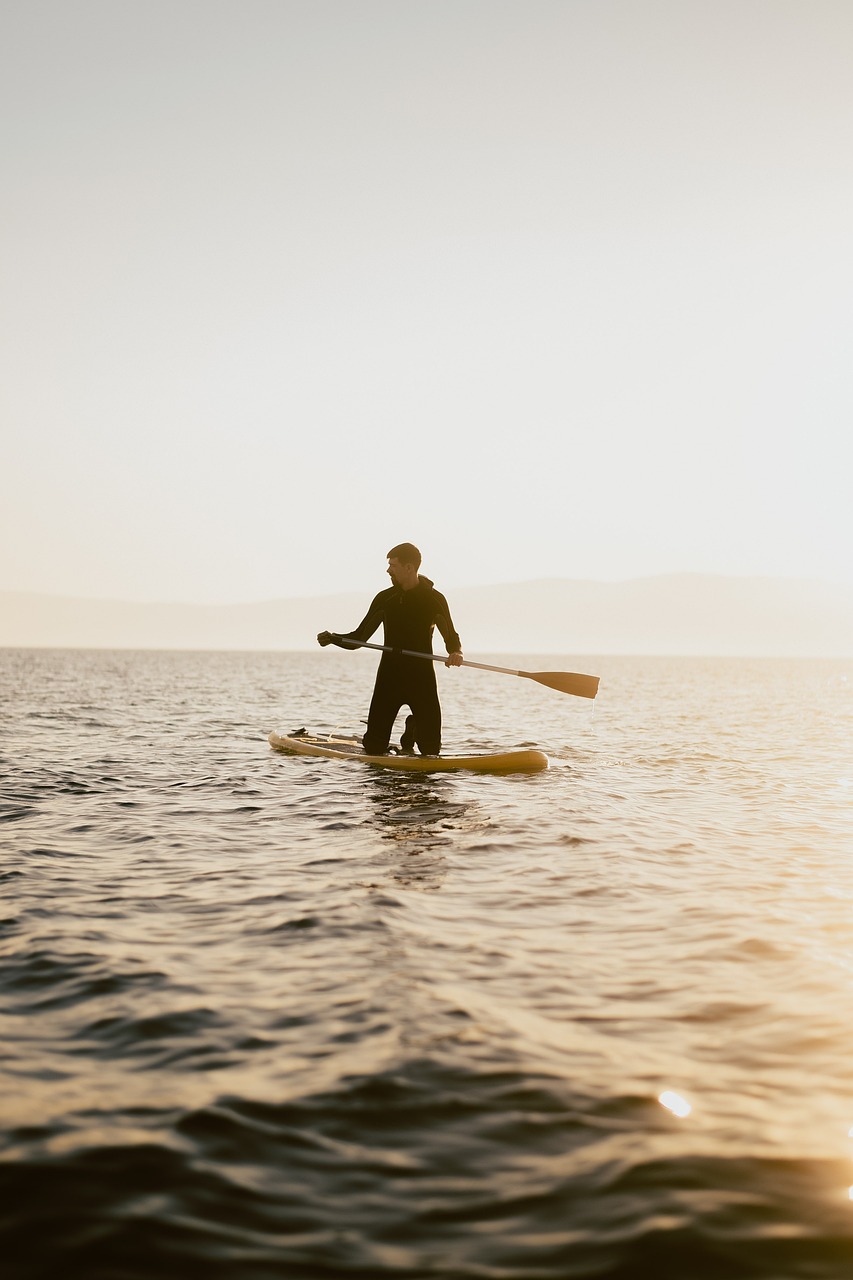 standup-paddleboarding-7210815_1280